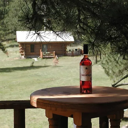 Renegade Log Cabin Custer Exterior photo